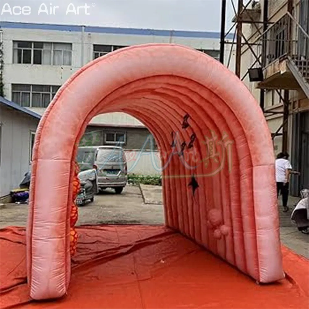 Customized Inflatable Cecum Model Inflatable Event Promotion Intestine for Display Safety Education