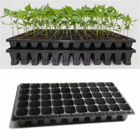 200 Holes Depth 4cm Good Quality Factory Directly Sell Seedling Tray