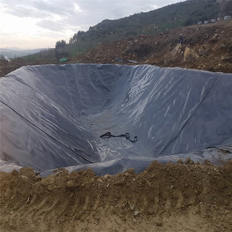 Waterproof Plastic 1.5mm HDPE Pond Liners 1mm Root Barrier Geomembrane