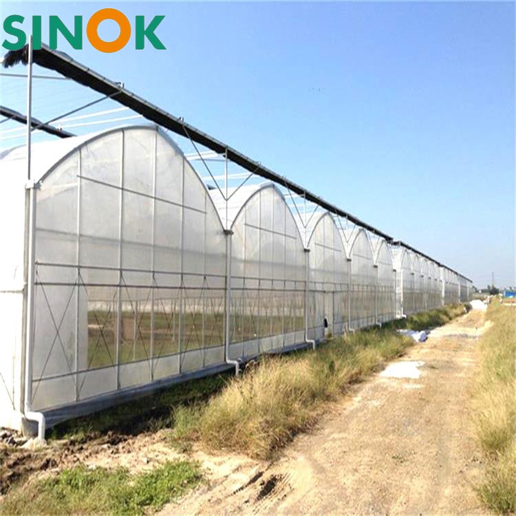 Agricultural Greenhouses Used for Vanilla Cultivation