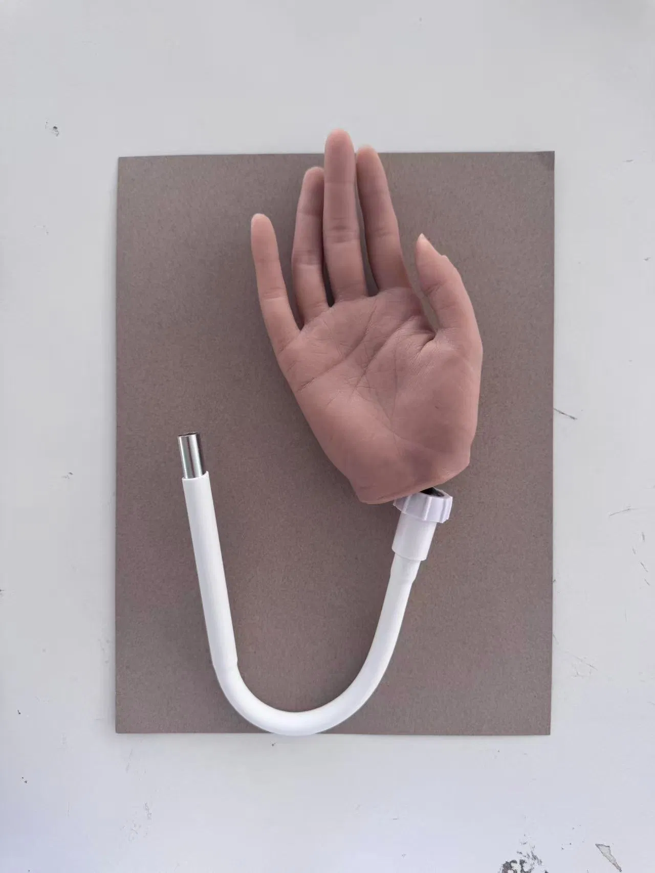 Hand Painted Model