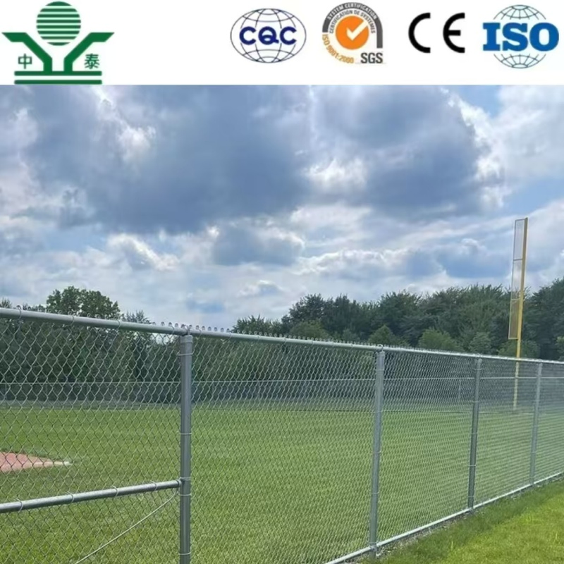 Galvanized 5.0mm 80X80mm 4.8m Chain Link Fence for Forest Boundary