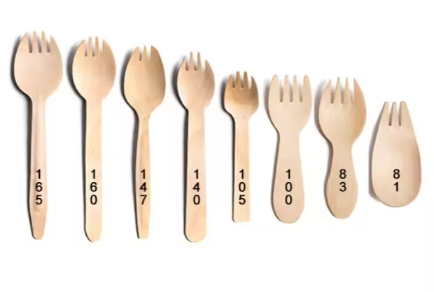 2025 New Arrival Wood Cutlery Birch Material Disposable Wooden Spoon