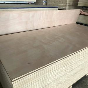 High Performance Fireproof Wall Board Material Supplier Construction Cladding Wall Covering Wall Decoration Plywood