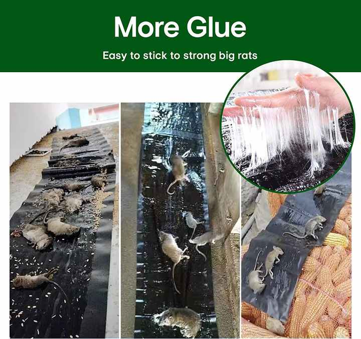 2025 New Style Rat Killing Magic Blanket
