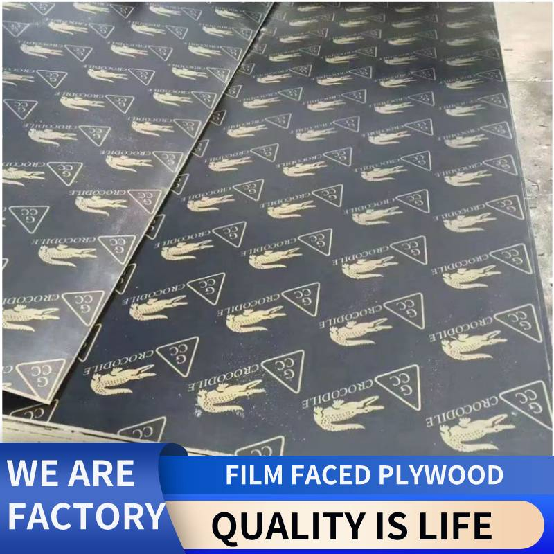 Professional Factory 1220X2440mm Customized Phenolic Plywood Finger-Joint Film Faced Plywood