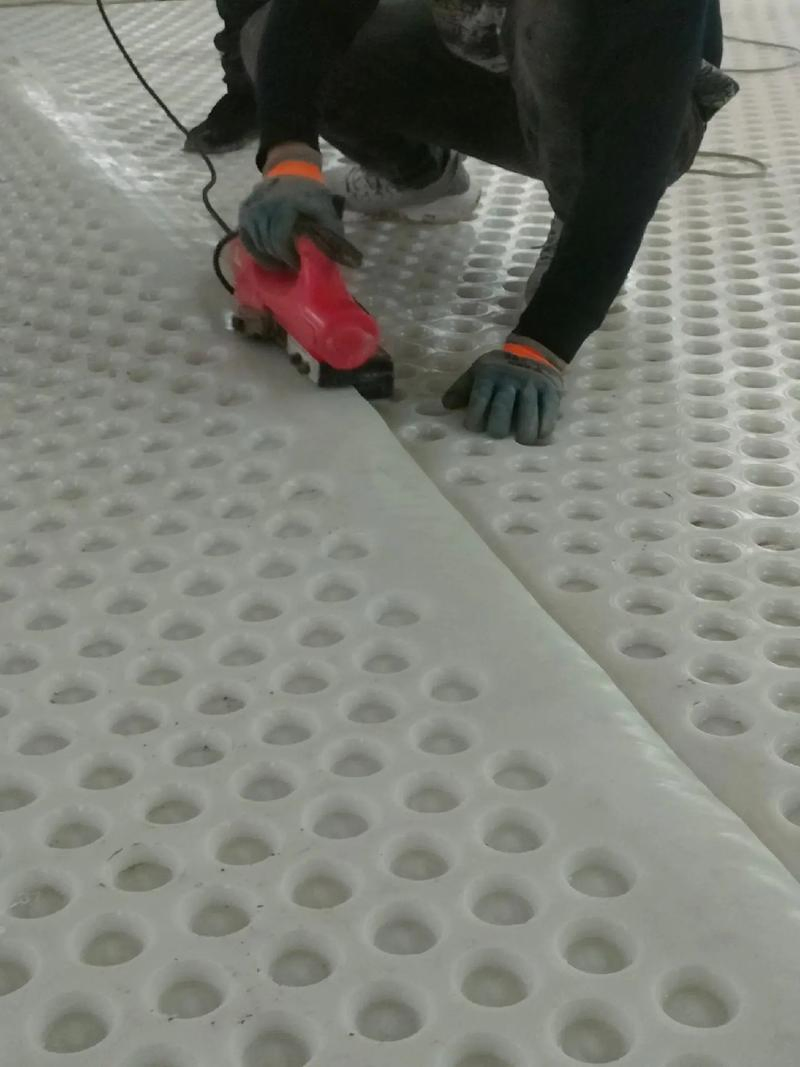 HDPE Drainage Board: Traditional Dimple Design for Maximum Waterproofing