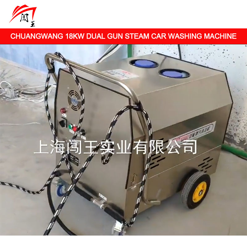 Double Gun Steam Car Washing Machine, 10 Seconds of Steam Output, Efficient Cleaning Without Waiting!