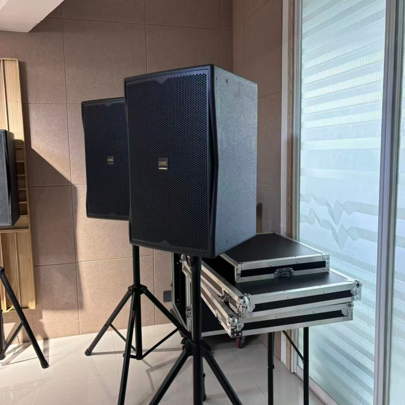 Powerful Domc K215 15-Inch Speaker with Exceptional Frequency Response