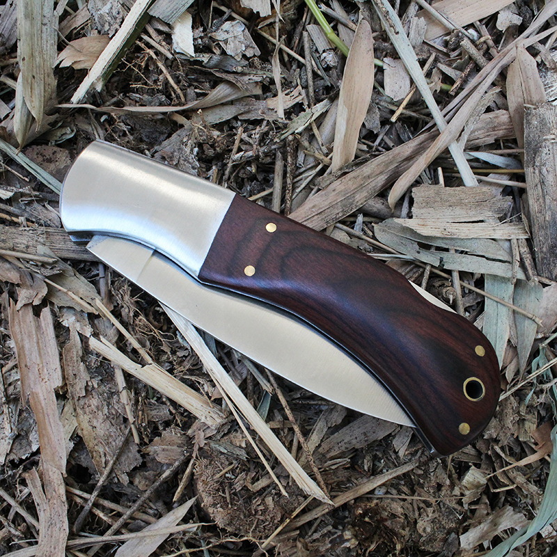 Outdoor Knife High Hardness Knife Mini Folding Fruit Knife