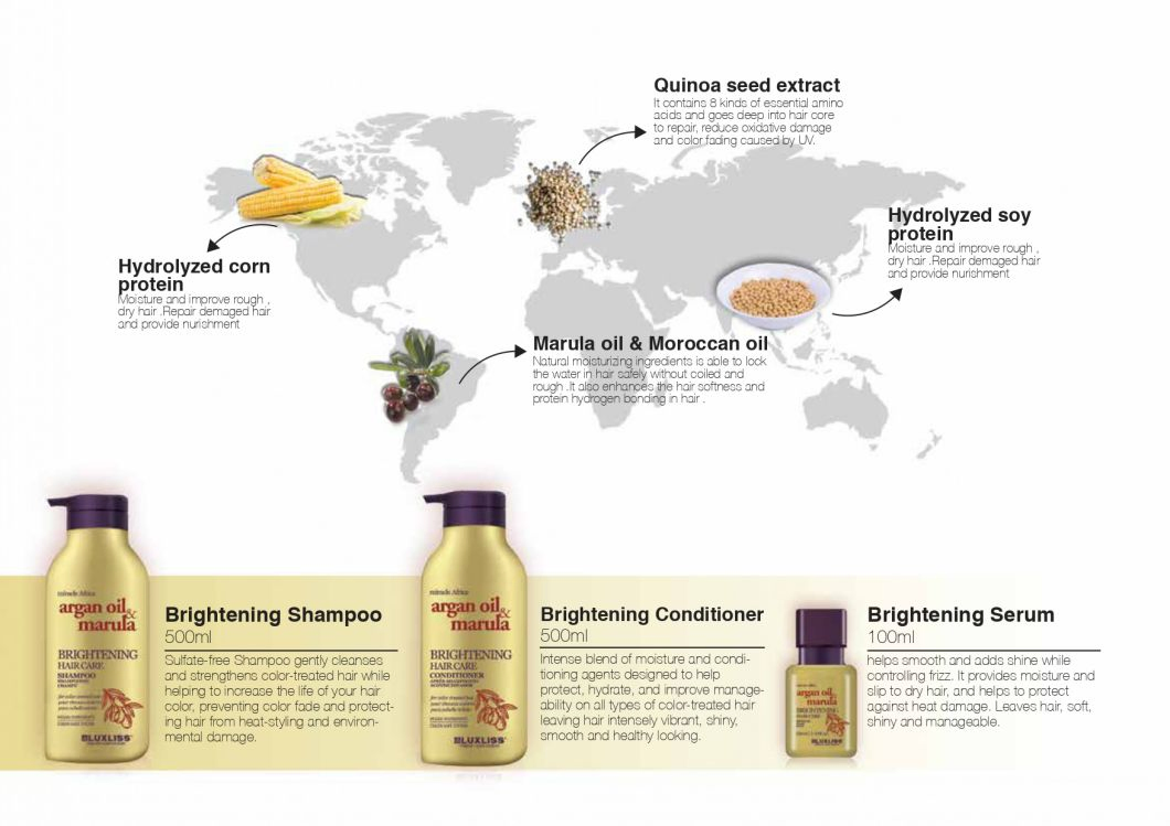 Argan Oil Colored Hair Care Treament Conditioner