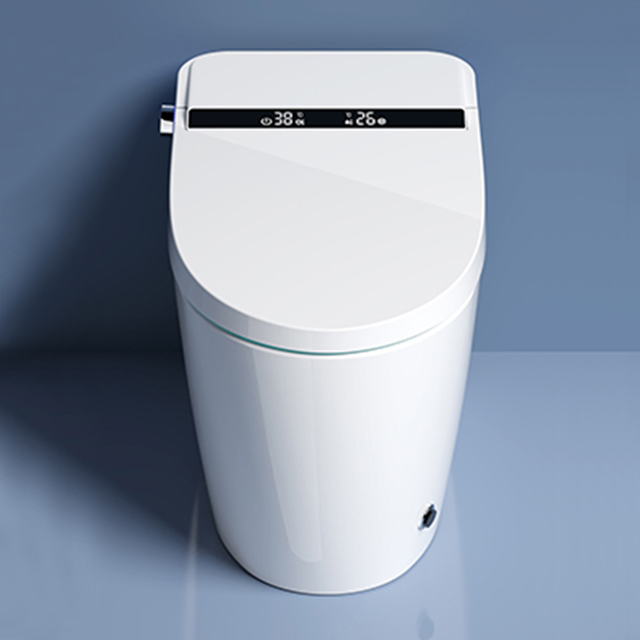 Hot Sale Electric Bidet Toilet Seat Ceramic Floor Mounted 220V Smart Toilet