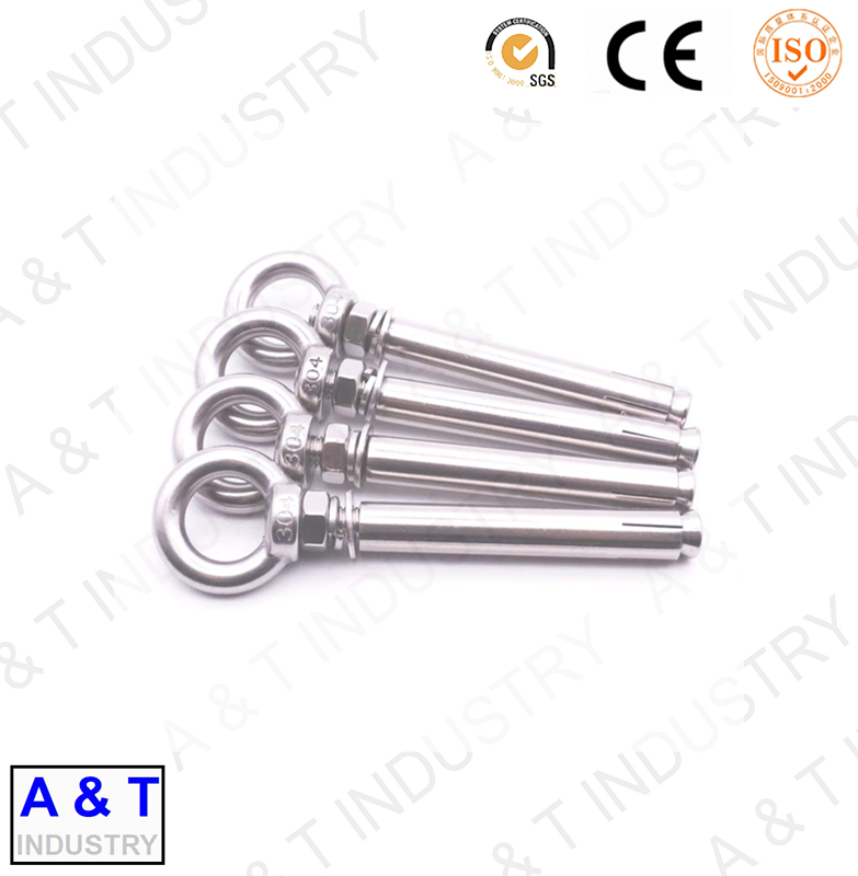 304 316 Stainless Steel Expansion Anchor Eye Bolt Plug Bolt with Ring