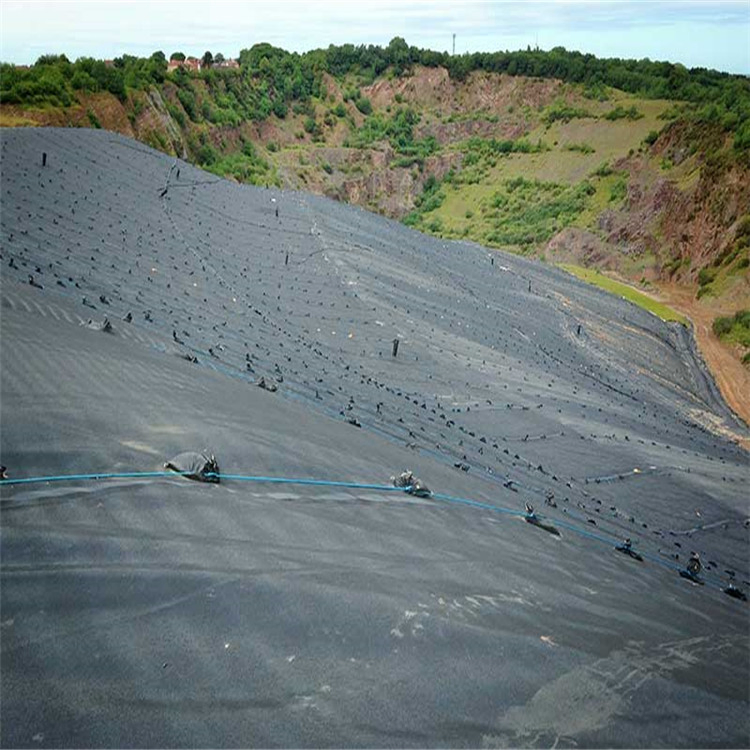 Pond Liner HDPE Geomembrane Dam Liner for Irrigation