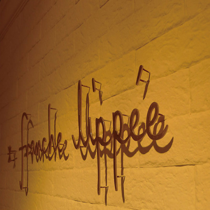 Stainless Steel LED Letters with Acrylic for Shop Front Name Advertising Sign