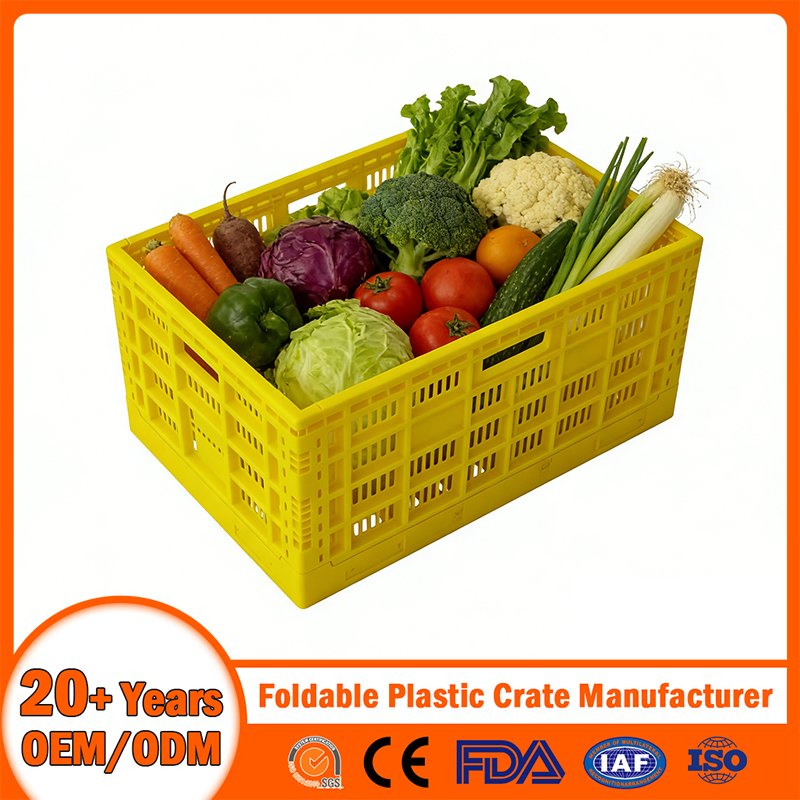 China Foldable Plastic Crate Manufacturer Nestable Mesh Tote Crate for Moving/Turnover/EU/Lobster/Bread/Bale/Egg/Mike Logistaic/Supermarket/Vegetable/Fruit
