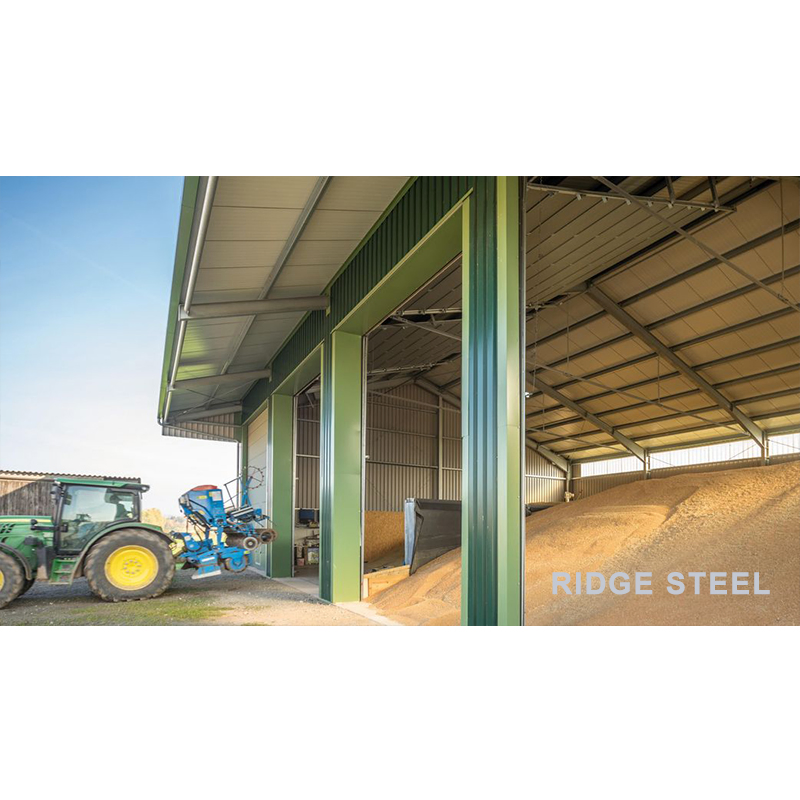 Popular Modern Design Economic Prefab Steel Structure Shed