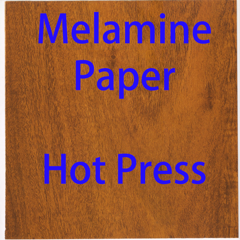 Wood Grain Melamine Impregnated Paper for Hot Press