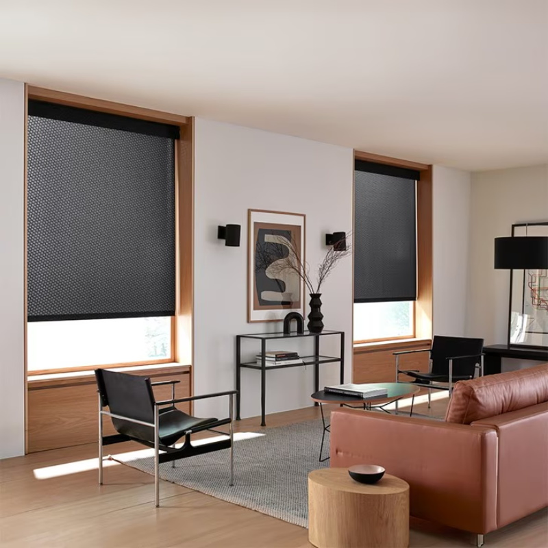 Factory Price Best Quality Customized Motorized Roller Shades Window Blinds