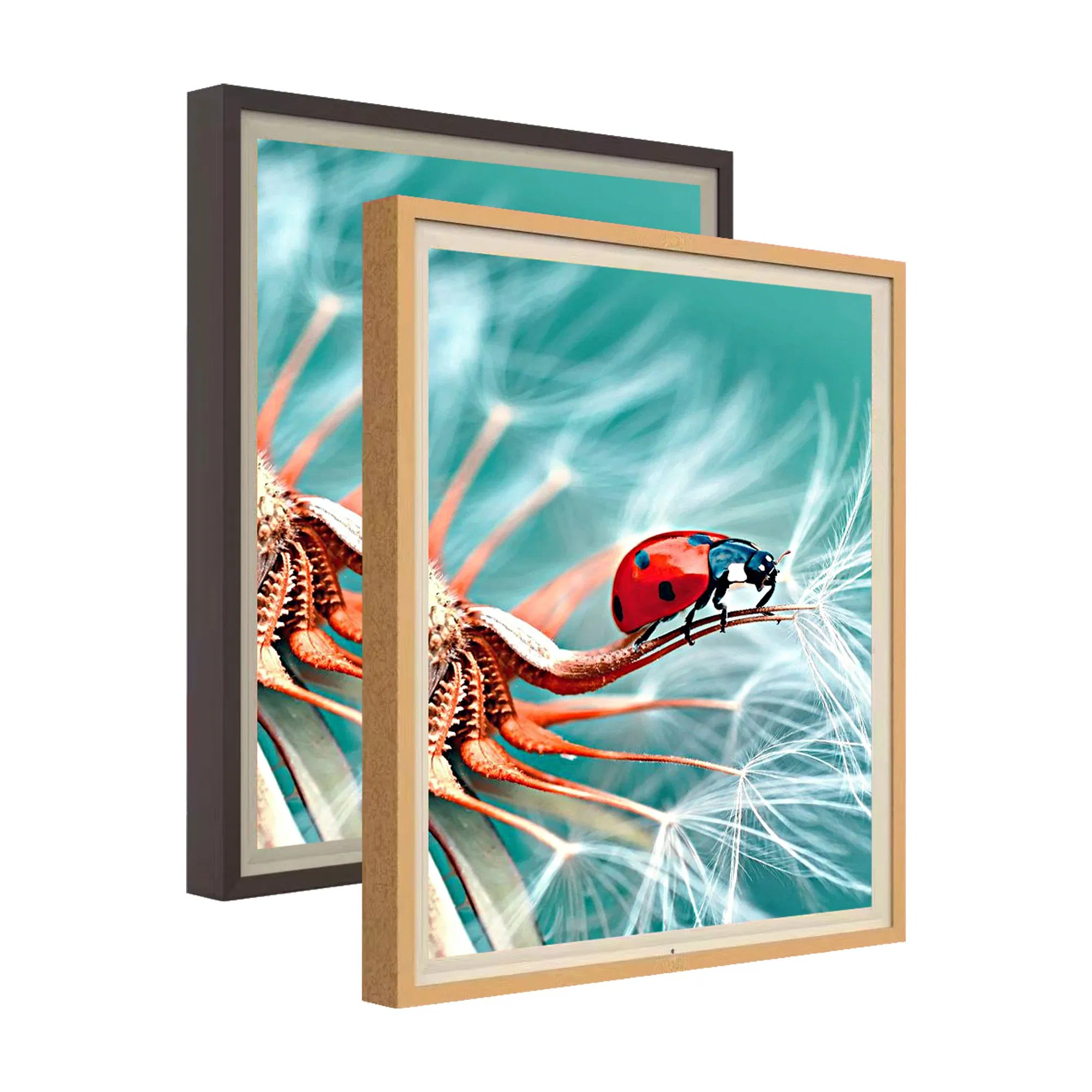 Custom 19.2 22 29.5 33.3 35.7 51.7 Inch High Quality Low Reflection 4K 8K Digital Photo Frame