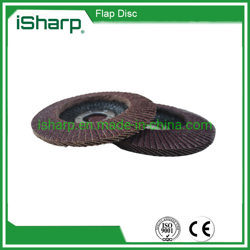 5 Inch Flap Disc Polishing Tools