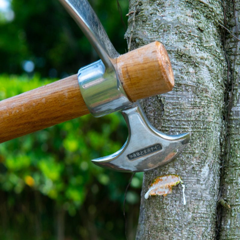 Garden Pick Mattock Hoe Transplanting Digging Planting Loosening Soil Camping or Prospecting