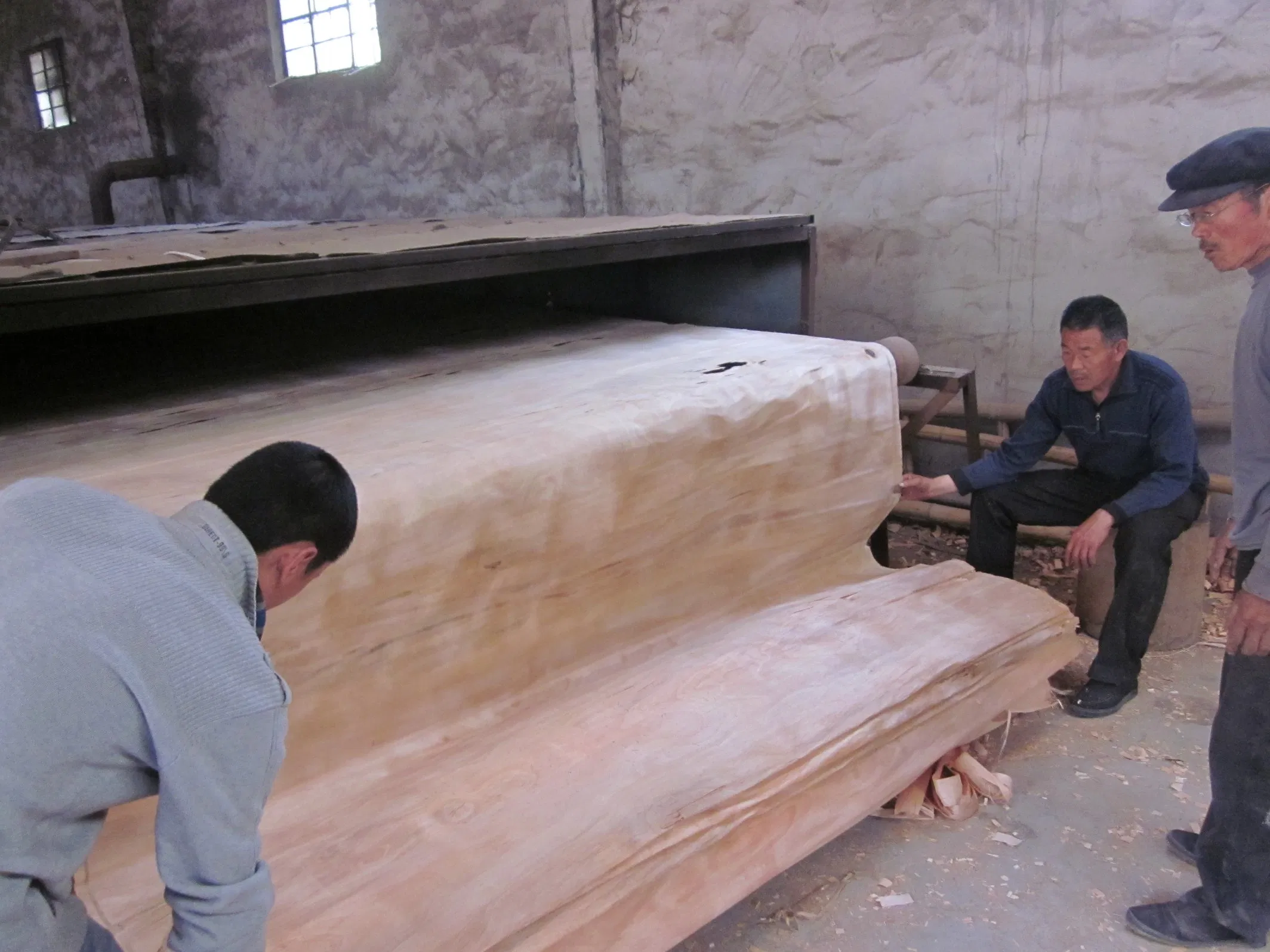 Yellow Birch Wood Veneer Birch Veneer Birch for Plywood