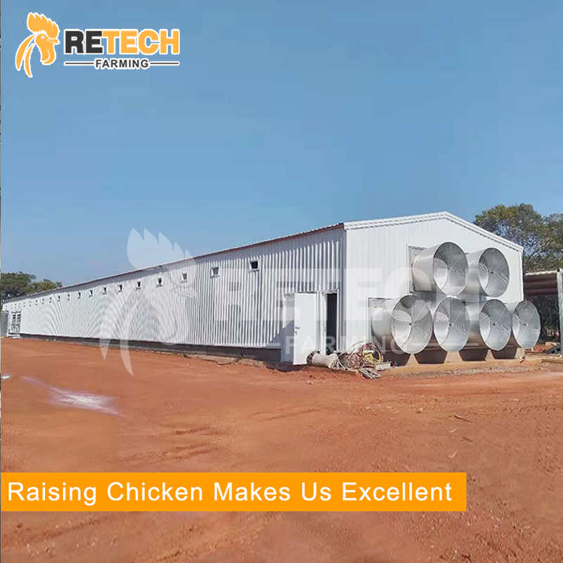 High quality light steel structure commercial poultry house farms for 20000 chickens