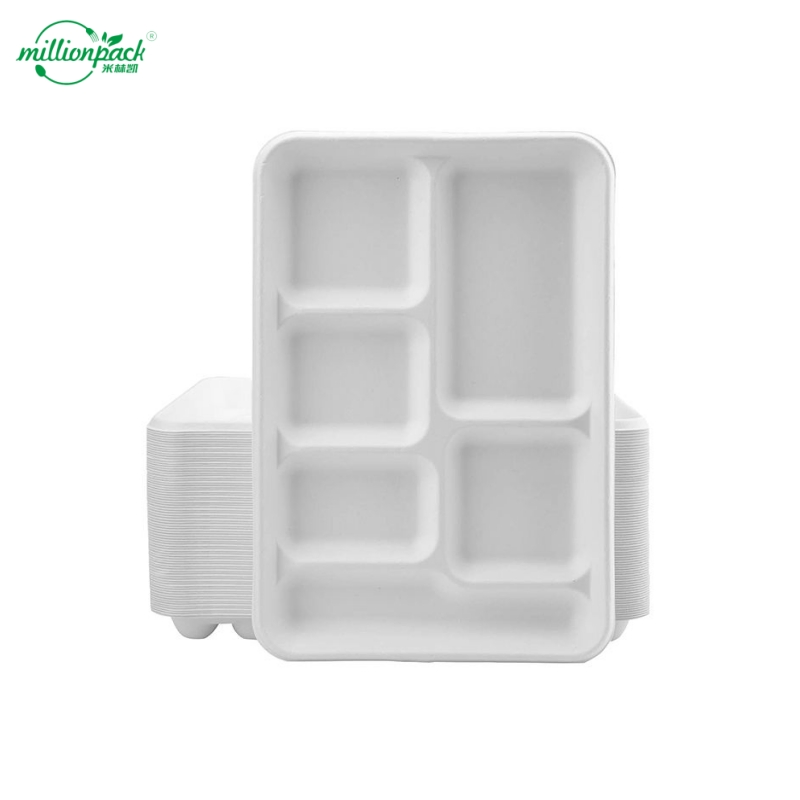 Sugarcane Fiber Food Tray with Hinged Lid for Easy Portability