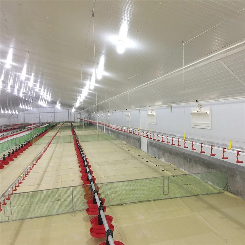 Construction Material Classic Metal Frame Prefabricated Steel Structure Chicken House