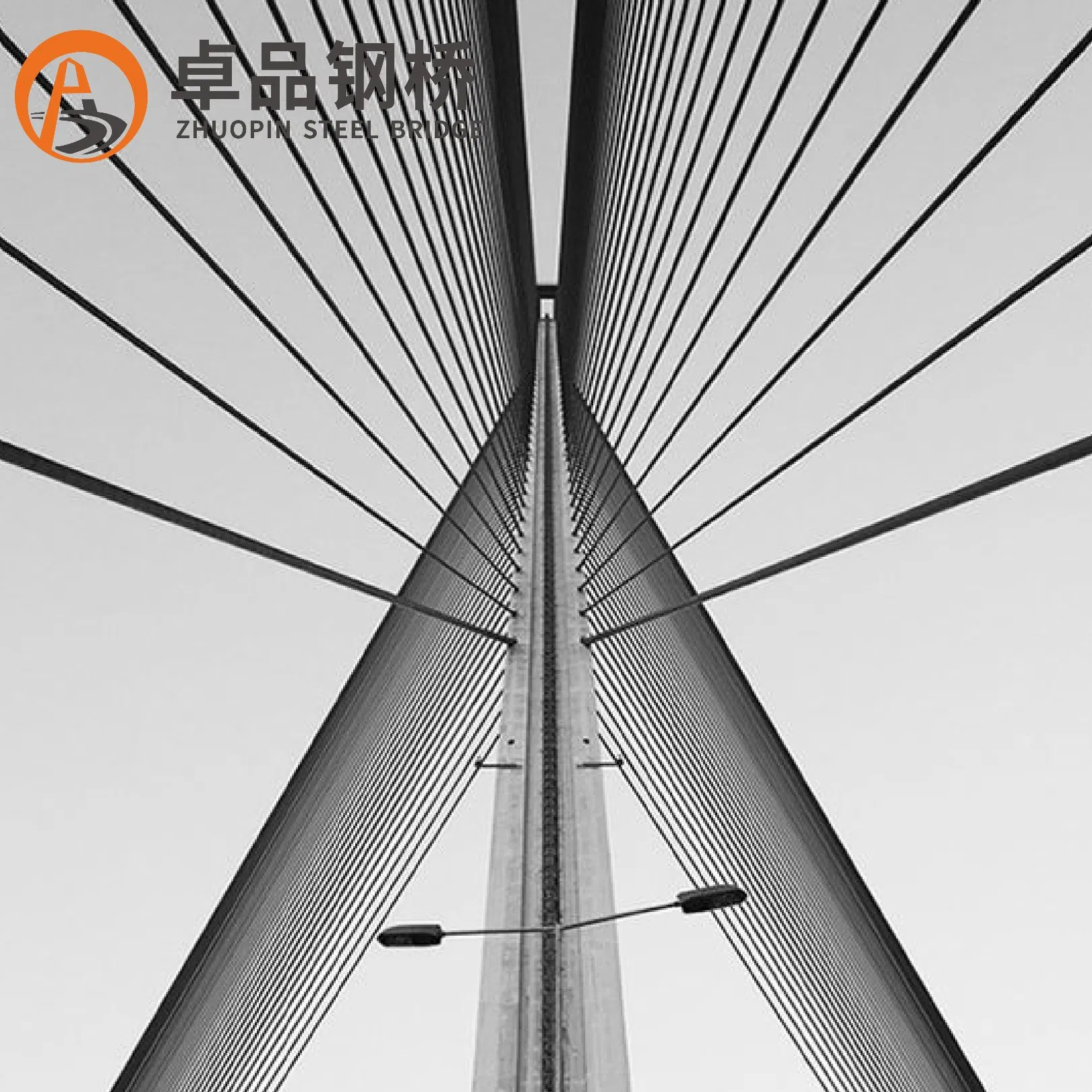 Pre-Engineered Steel Structure Bridge/Modern Design Steel Bridge