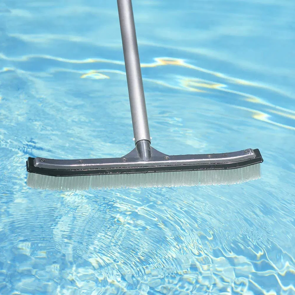 Heavy Duty Aluminum-Back Swimming Pool Wall Brush with Durable Bristles