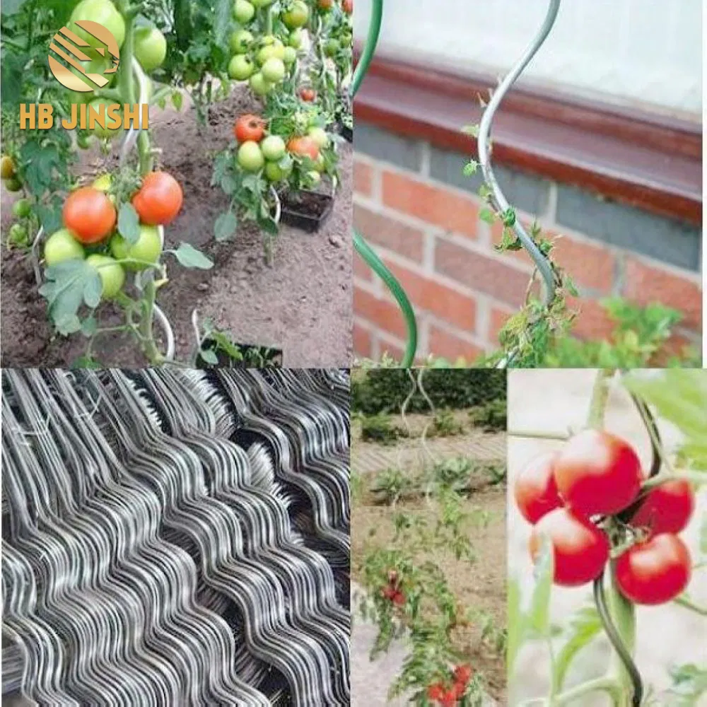 Garden Stake 180 Cm Long Electric Galvanized Tomato Spiral Rod