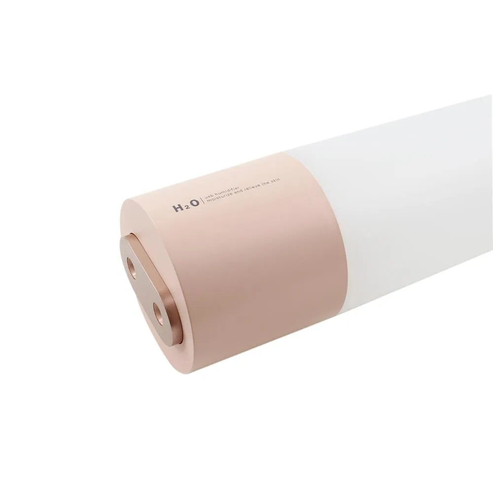 USB Double Spray Air Diffuser Fragrance Aroma Car and Home Air Humidifier