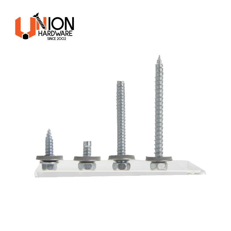 Factory Customized Stainless Steel Cladding Screws with All Size for Metal