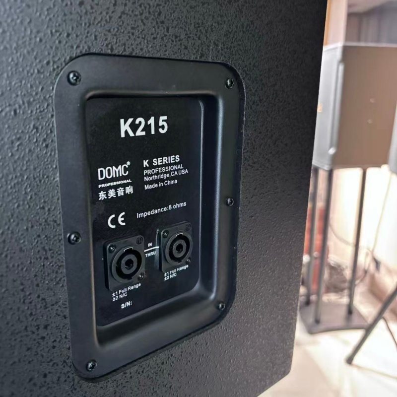 Domc K210 10-Inch Speaker, 1200W Peak, High Frequency Response