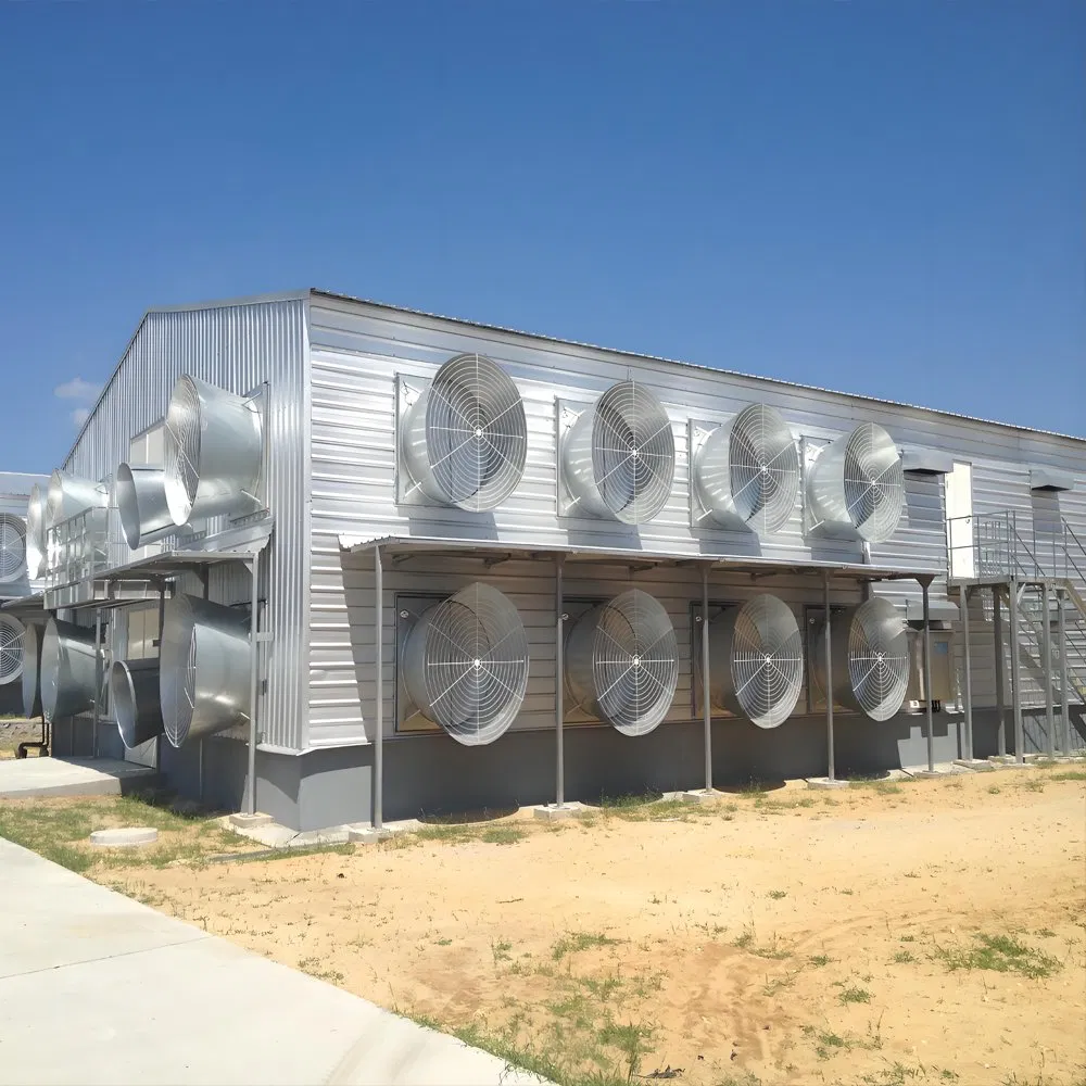 Galvanized Steel Duck House for Waterfowl Breeding in The Philippines