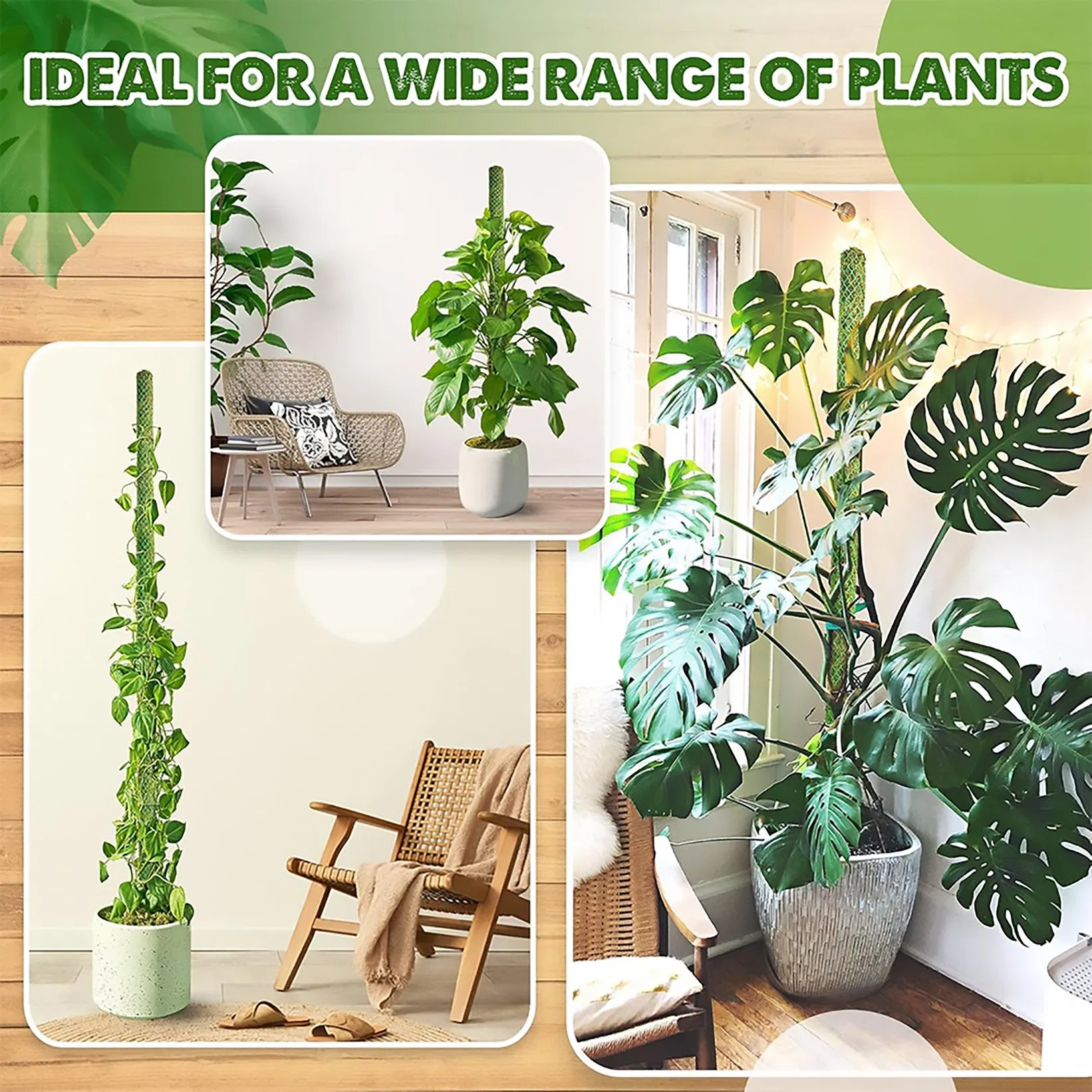 Aerial Root-Friendly Breathable Green Plastic Grid Moss Pole for Philodendron Vertical Growth Monstera Deliciosa