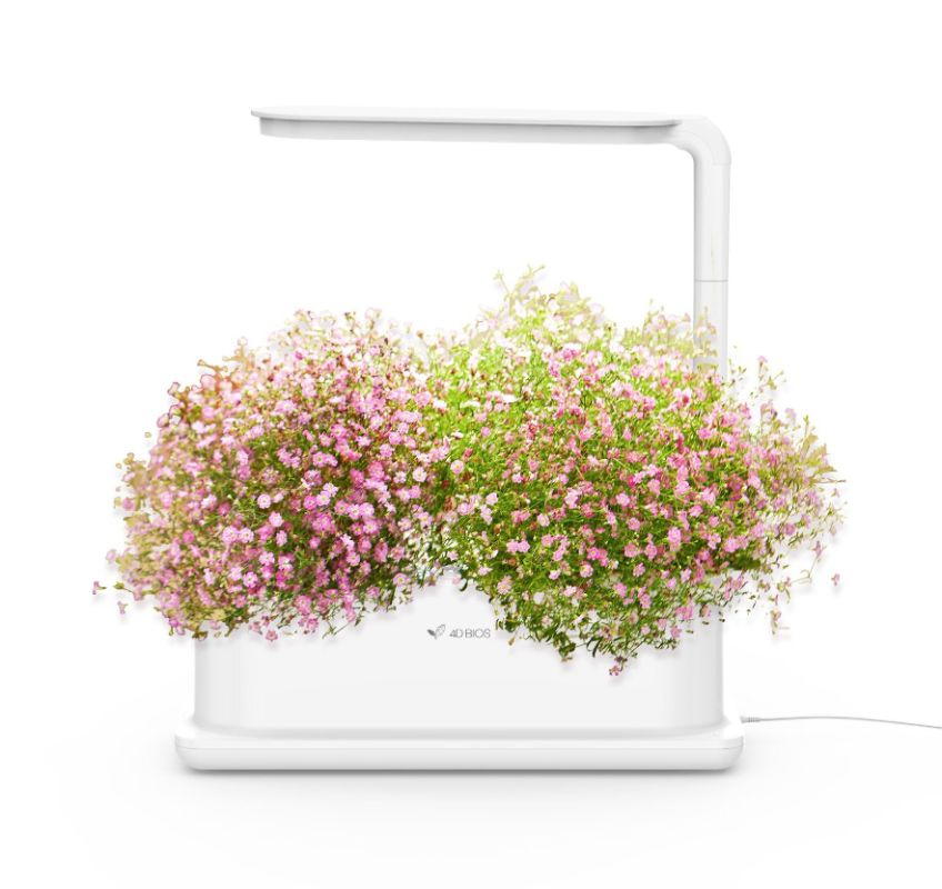 Hot Selling Hydroponic Indoor Garden System with LED Grow Lights