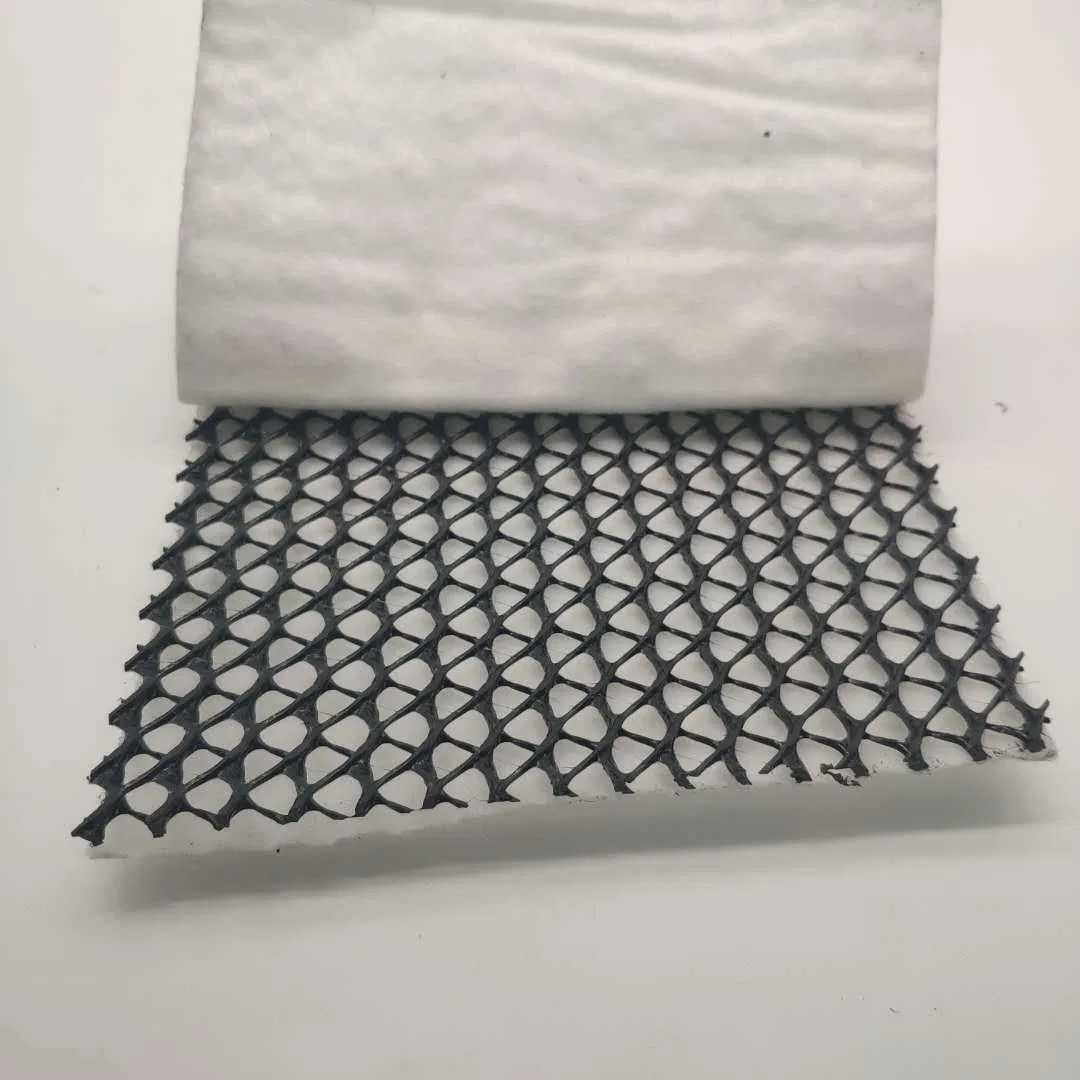 HDPE 3D Composite Drainage Geonet for Landfill Network