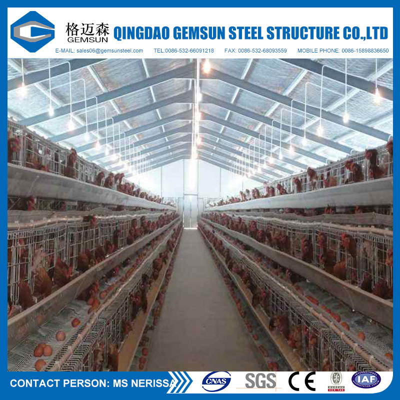 Steel Structure Poultry Farm Shed Chicken Layers House