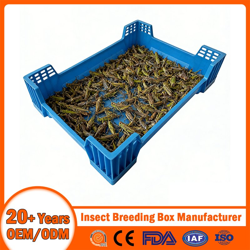 China Plastic Insect Breeding Box Manufacturer Stackable/Attached Lid/Nestable/Lobster/Bale Arm/EU/Euo Moving Mesh Turnover Logistic/Bread/Egg/Beer Tote Box
