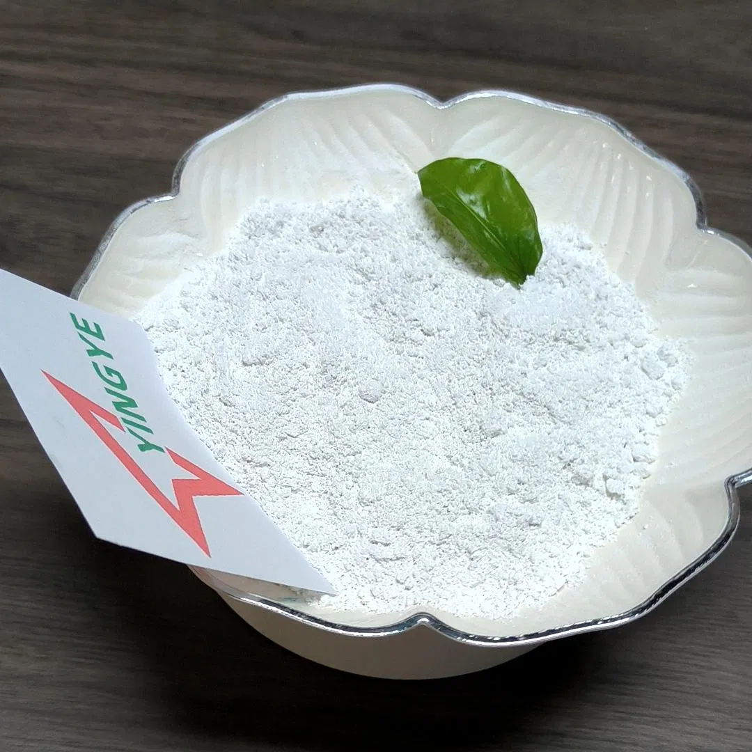 HPMC/Mhec/HEC Best Price for Tile Adhesive, White Cement Based Wall Putty