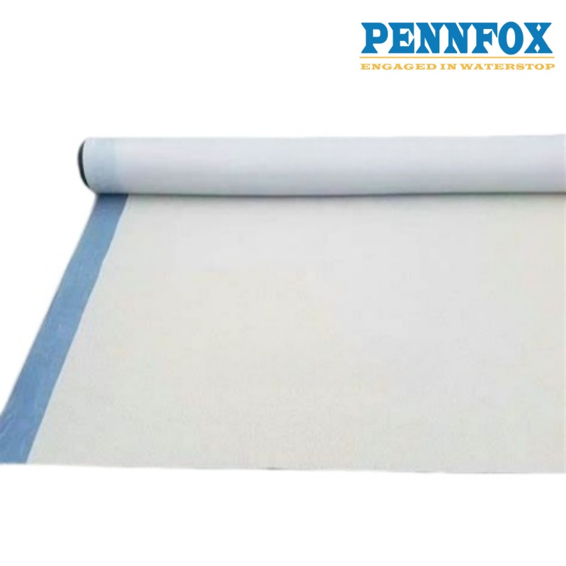 CE Certificate Pre-Applied HDPE Waterproof Membrane with Granular for Basement and Tunnel