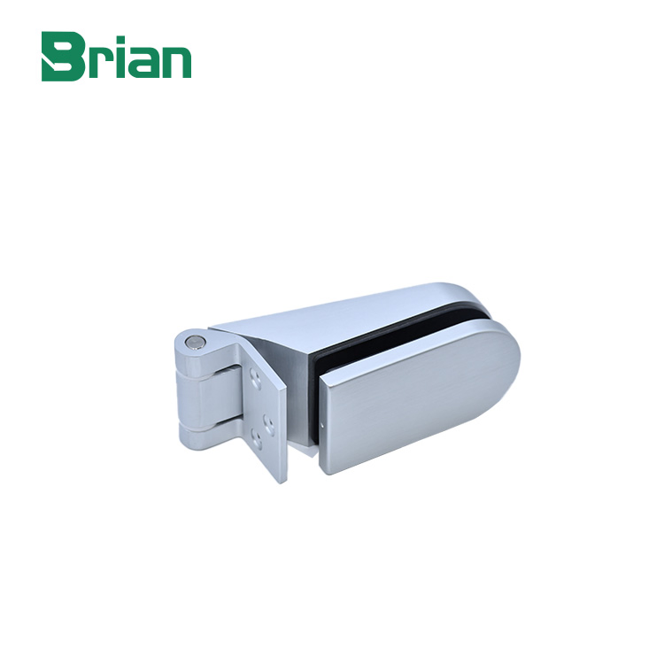 Factory Supplier Door Hinge Stainless Steel and Zinc Alloy Pivot Hinge for Frameless Shower Doors