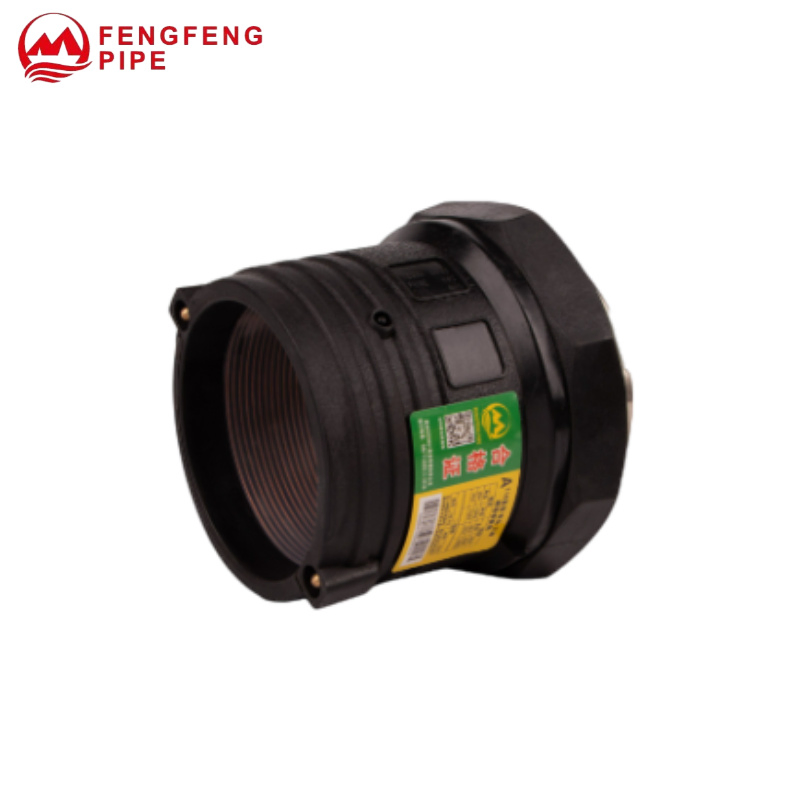 HDPE Pipe Fitting Electrofusion Fitting Electrofusion Female Thread Coupler 110mm