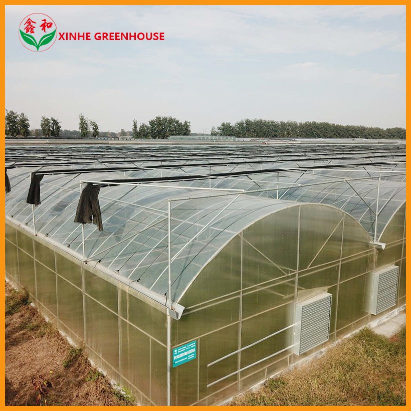 Four Season Tunnel UV Resistance Multi Span Farm Greenhouse for Vegetables Growing