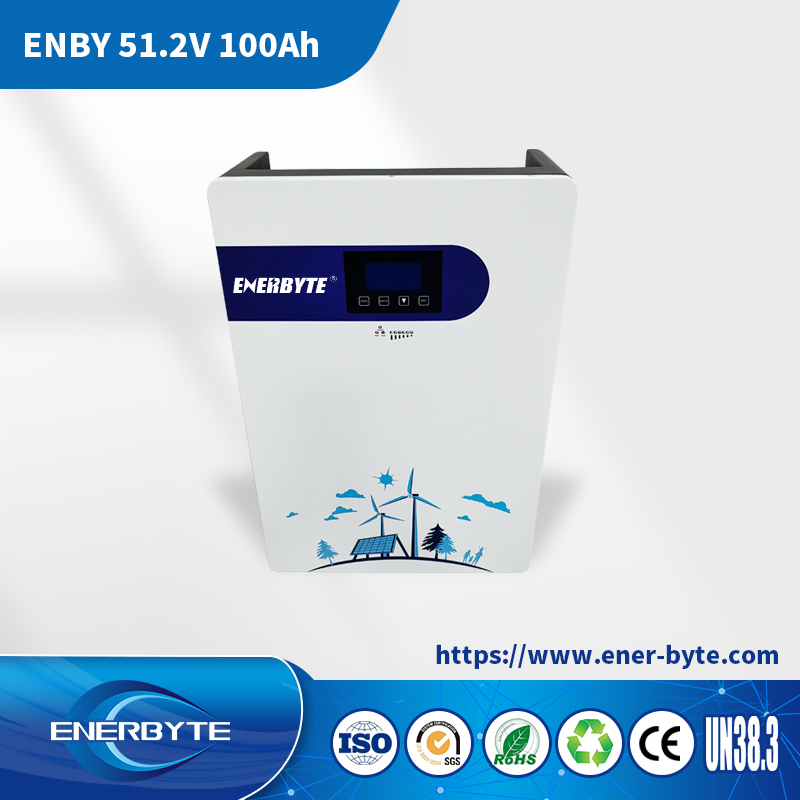 Литий-ионная система хранения энергии 51.2V 100Ah для дома и солнечных панелей