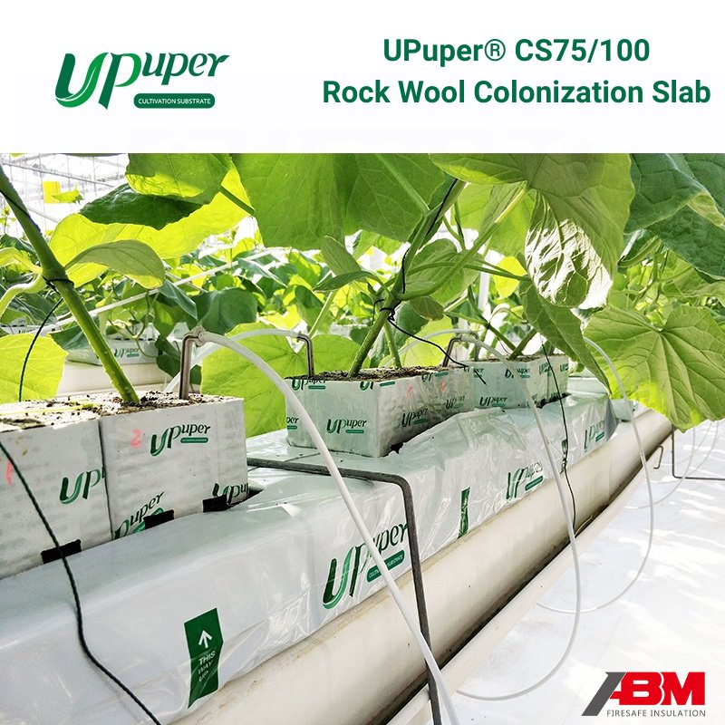 UPuper® 40Inch Rock Wool Grow Slab For Tomato/Cucumber/Leafy Vegetable/Eggplant/Pepper/Cannabi Water Retention Zero Microorganisms Agricultural Rock Wool Slab