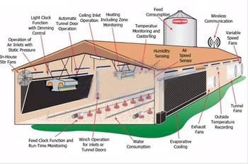 Prefabricated Steel Structure Building Poultry House Shed for Layer Broiler Farm